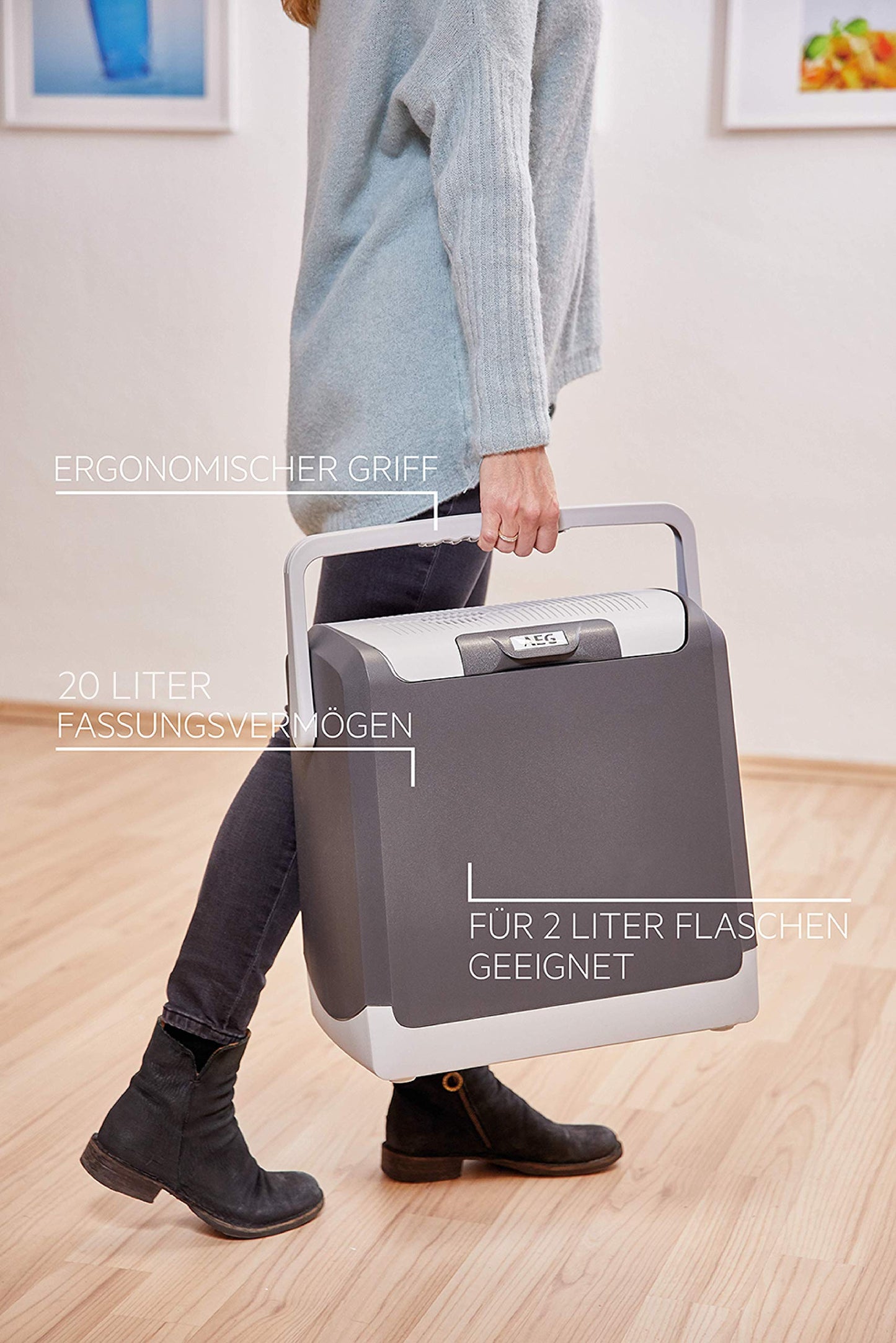 AEG Automotive Thermoelektrische Kühlbox KK 20 Liter, 12/230 Volt für Auto und Steckdose